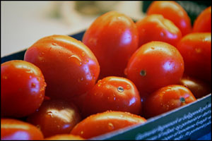 San Marzano Tomater